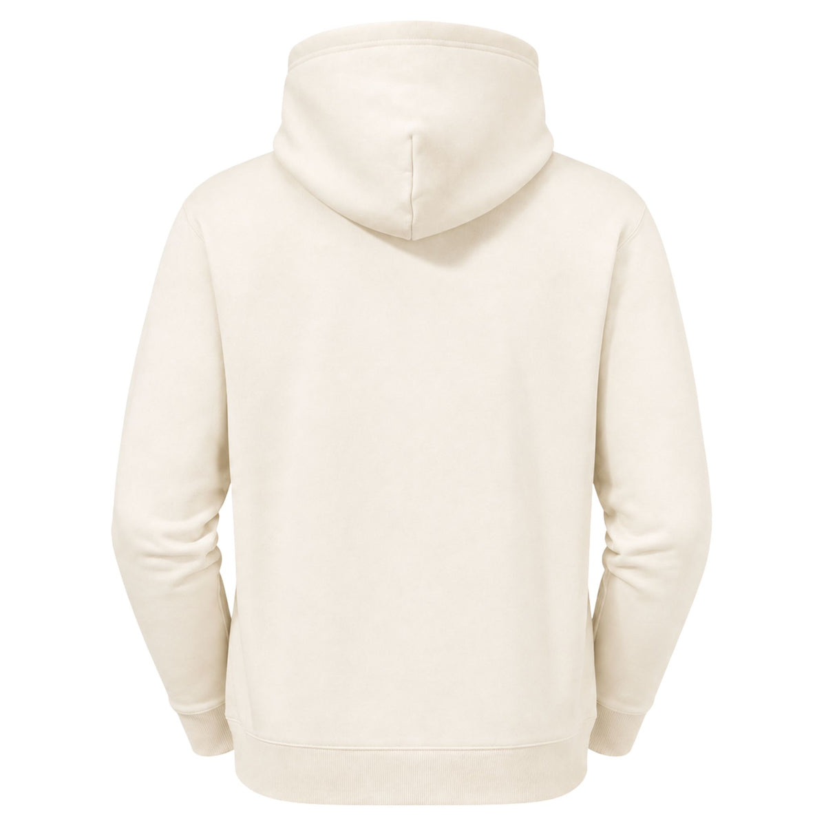 A plain cream-colored hoodie shown from the back, photographed on a clean white background.